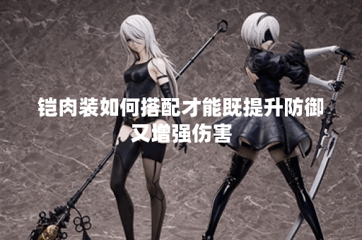 铠肉装如何搭配才能既提升防御又增强伤害？