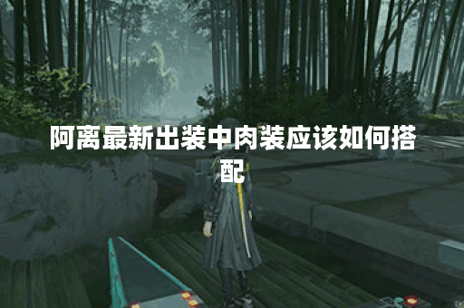 阿离最新出装中肉装应该如何搭配？肉装出装顺序有哪些细节需要注意？
