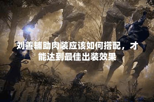 刘善辅助肉装应该如何搭配,才能达到最佳出装效果? 刘善辅助肉装应该如何搭配,才能达到最佳出装效果?