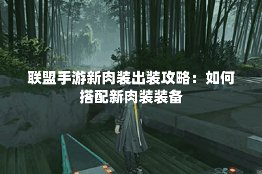 联盟手游新肉装出装攻略：如何搭配新肉装装备？