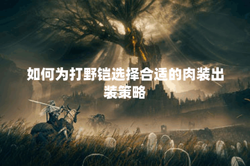 如何为打野铠选择合适的肉装出装策略？