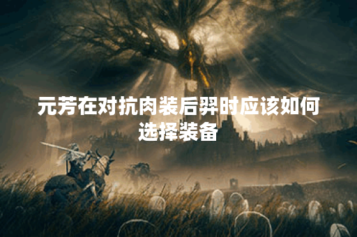 元芳在对抗肉装后羿时应该如何选择装备？肉装后羿的出装策略是什么？