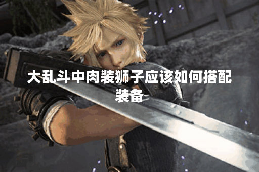 大乱斗中肉装狮子应该如何搭配装备？