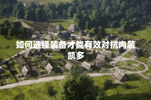 如何选择装备才能有效对抗肉装凯多？肉装凯多应该怎么出装才能应对？