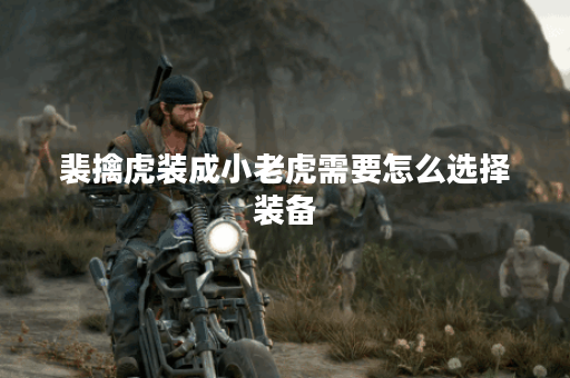 裴擒虎装成小老虎需要怎么选择装备？
