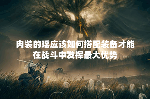 肉装的瑶应该如何搭配装备才能在战斗中发挥最大优势？