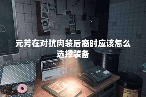 元芳在对抗肉装后裔时应该怎么选择装备？肉装后裔的出装策略是什么？