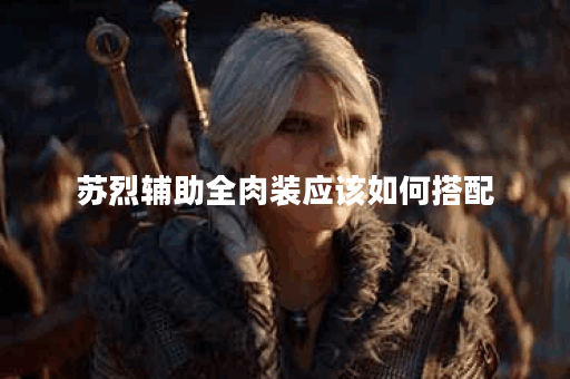 苏烈辅助全肉装应该如何搭配？全肉装对苏烈辅助效果有何影响？