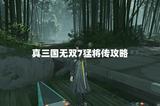 真三国无双7猛将传攻略