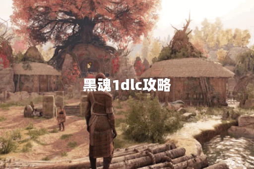 黑魂1dlc攻略