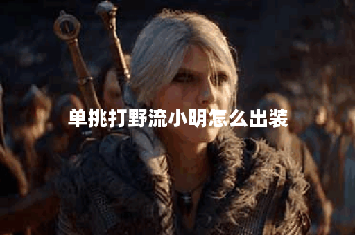 单挑打野流小明怎么出装