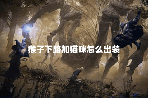 猴子下路加猫咪怎么出装 猴子下路加猫咪怎么出装