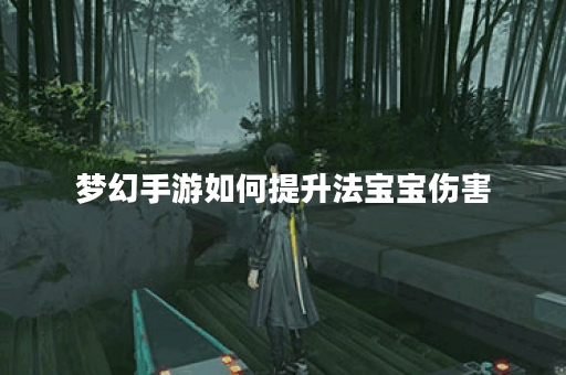 梦幻手游如何提升法宝宝伤害