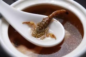 鳄鱼打辅助出装攻略是什么？如何选择最佳装备？