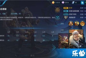 王者荣耀黄忠最佳设置是什么？如何提升游戏体验？