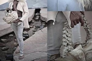 恶之领域鳄鱼如何出装？最佳装备推荐是什么？