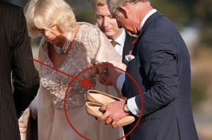 2024年国服第一鳄鱼是谁？他的实力如何？