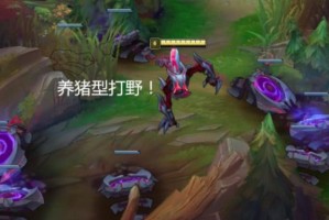 LOL职业比赛常用打野有哪些？如何选择适合自己的打野英雄？