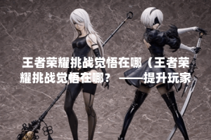 王者荣耀挑战觉悟在哪（王者荣耀挑战觉悟在哪？ ——提升玩家游戏技