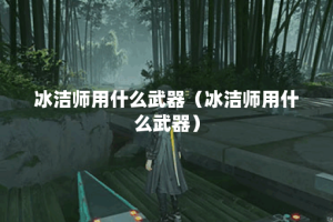 冰洁师用什么武器（冰洁师用什么武器）