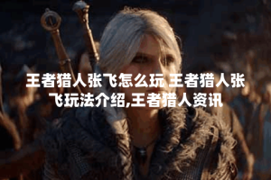 王者猎人张飞怎么玩 王者猎人张飞玩法介绍,王者猎人资讯