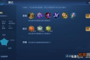 妲己出装和铭文选择有哪些最佳搭配？