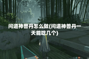 问道神兽丹怎么做(问道神兽丹一天能吃几个)