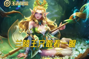 王者荣耀最强物抗出装有哪些？如何选择最佳装备？