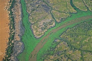 源计划鳄鱼出装推荐与玩法解析是什么？