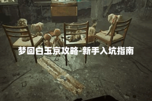 梦回白玉京攻略-新手入坑指南