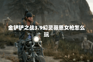 金铲铲之战3.9幻灵薇恩女枪怎么玩