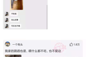 s35赛季吕布出装推荐与玩法解析是什么？