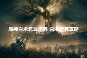 原神白术怎么培养 白术培养攻略