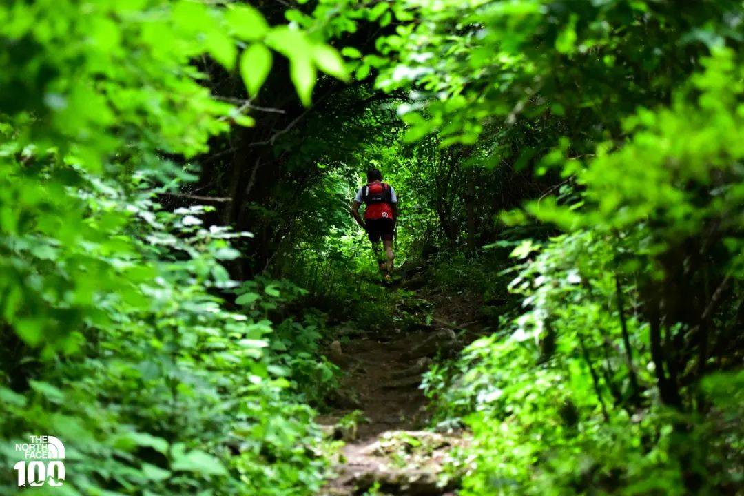 墨子核弹流出装是什么？其影响和应用有哪些？