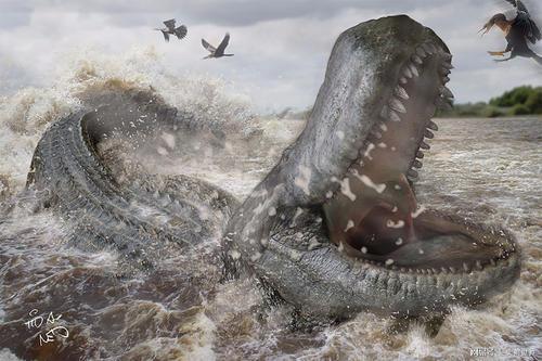 神话版本前鳄鱼出装攻略与技巧是什么？