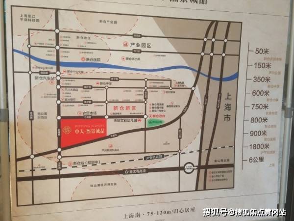 s30赛季宫本强势表现如何？玩家对其评价怎样？