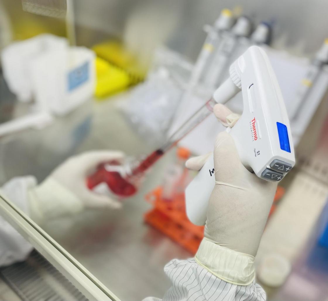 LOL天使打肉出装推荐与技巧解析 LOL天使打肉出装推荐与技巧解析