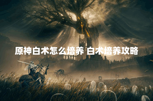 原神白术怎么培养 白术培养攻略