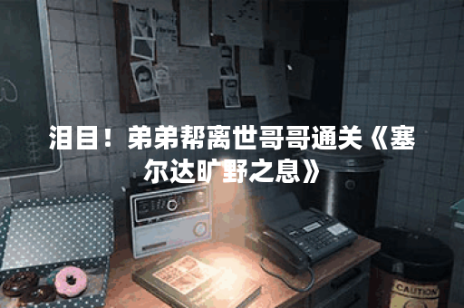 泪目!弟弟帮离世哥哥通关《塞尔达旷野之息》 泪目!弟弟帮离世哥哥通关《塞尔达旷野之息》