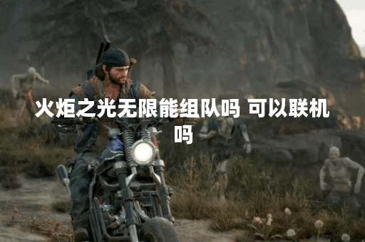 火炬之光无限能组队吗 可以联机吗
