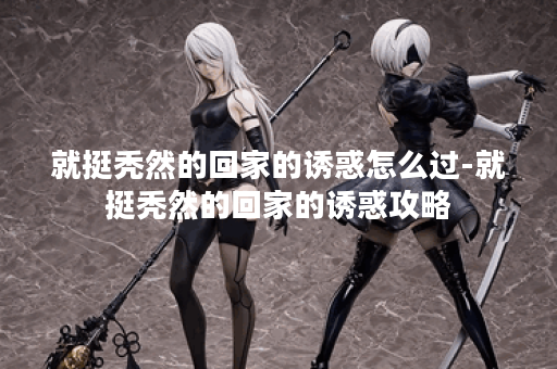 就挺秃然的回家的诱惑怎么过-就挺秃然的回家的诱惑攻略 就挺秃然的回家的诱惑怎么过-就挺秃然的回家的诱惑攻略