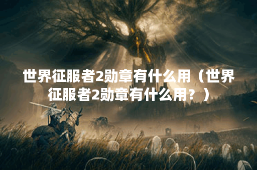 世界征服者2勋章有什么用(世界征服者2勋章有什么用?) 世界征服者2勋章有什么用(世界征服者2勋章有什么用?)