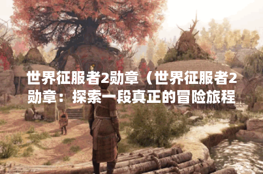 世界征服者2勋章(世界征服者2勋章:探索一段真正的冒险旅程) 世界征服者2勋章(世界征服者2勋章:探索一段真正的冒险旅程)