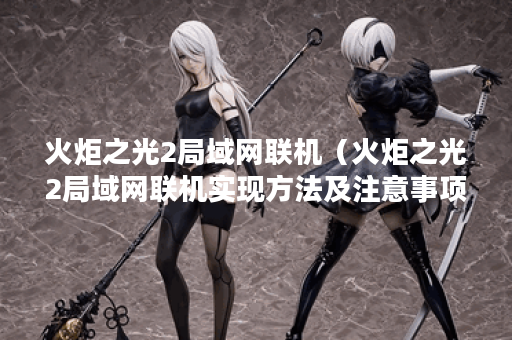 火炬之光2局域网联机(火炬之光2局域网联机实现方法及注意事项) 火炬之光2局域网联机(火炬之光2局域网联机实现方法及注意事项)