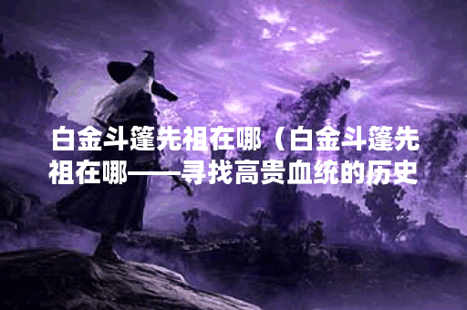白金斗篷先祖在哪(白金斗篷先祖在哪——寻找高贵血统的历史之旅) 白金斗篷先祖在哪(白金斗篷先祖在哪——寻找高贵血统的历史之旅)
