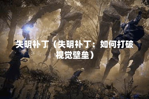 失明补丁（失明补丁：如何打破视觉壁垒）