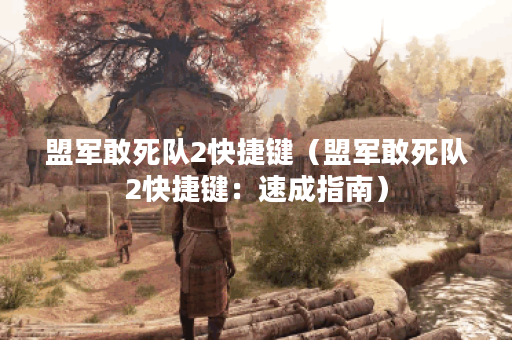 盟军敢死队2快捷键（盟军敢死队2快捷键：速成指南）