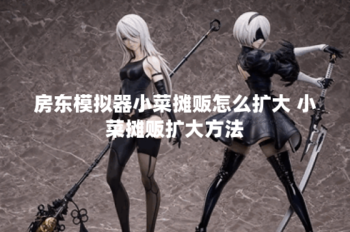 房东模拟器小菜摊贩怎么扩大 小菜摊贩扩大方法