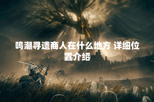 鸣潮寻遗商人在什么地方 详细位置介绍
