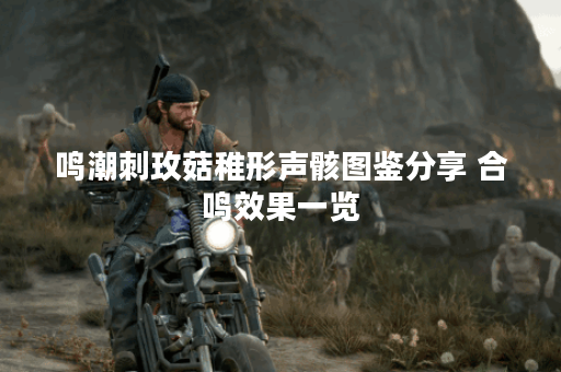 鸣潮刺玫菇稚形声骸图鉴分享 合鸣效果一览 鸣潮刺玫菇稚形声骸图鉴分享 合鸣效果一览